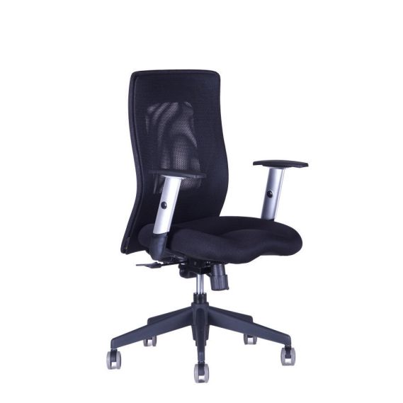 Kancelárska stolička CALYPSO XL BP