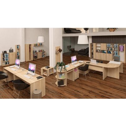 Kontajner, dub sonoma, TEMPO ASISTENT NEW 016 2