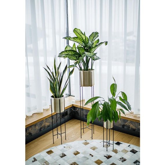 Kvetináč, čierna/zlatá, JUDE TYP 2