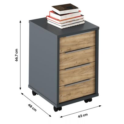 Kontajner, grafit/dub artisan, RIOMA NEW TYP 14 2