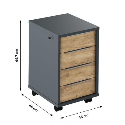 Kontajner so zámkom, grafit/dub artisan, RIOMA NEW TYP 30 2