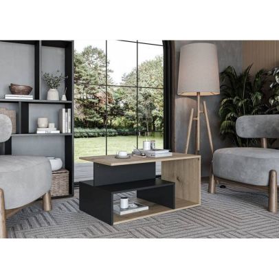 Konferenčný stolík IVA, dub artisan/čierna 2